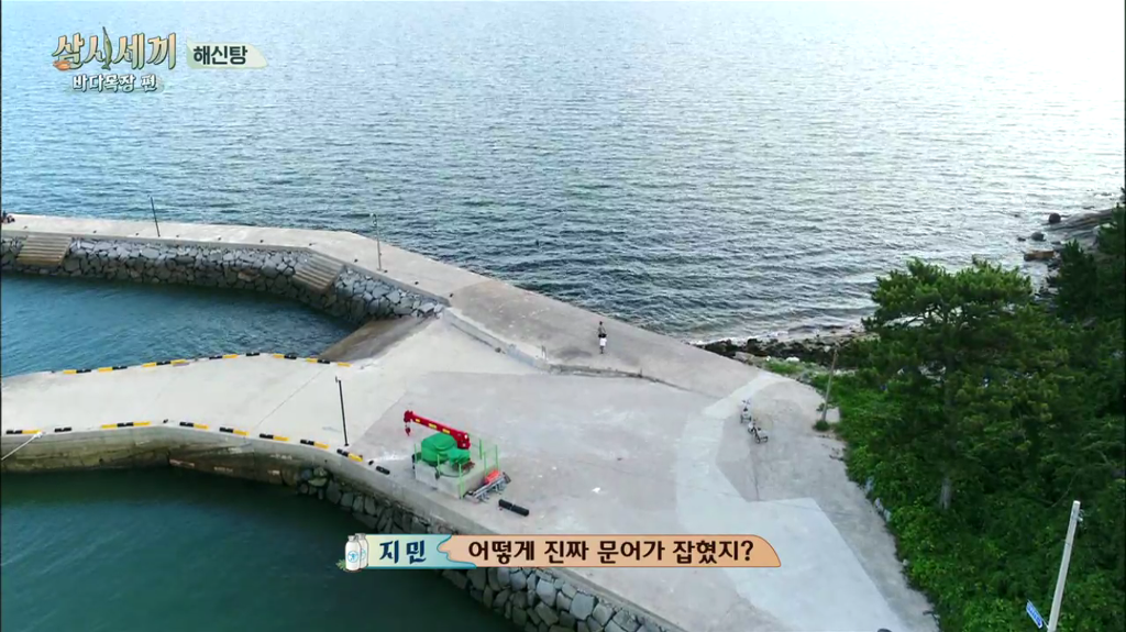 한지민을 물음표살인마로 만든 삼시세끼 역대급 비쥬얼 해신탕 | 인스티즈
