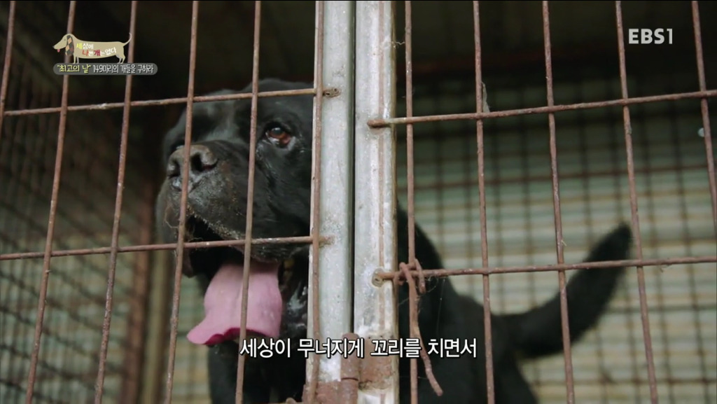 어떻게 그럴 수가 있을까요? 어떻게 사람을 그렇게 좋아할 수 있죠? | 인스티즈