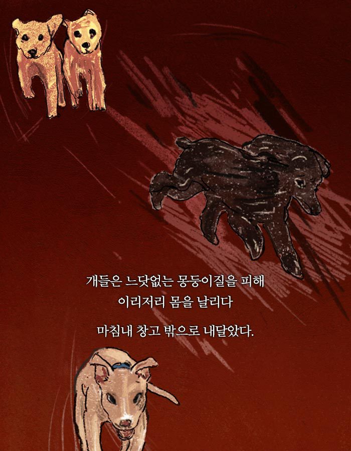 [책소개] 동물병원에 군인들이 닥친 이유 | 인스티즈