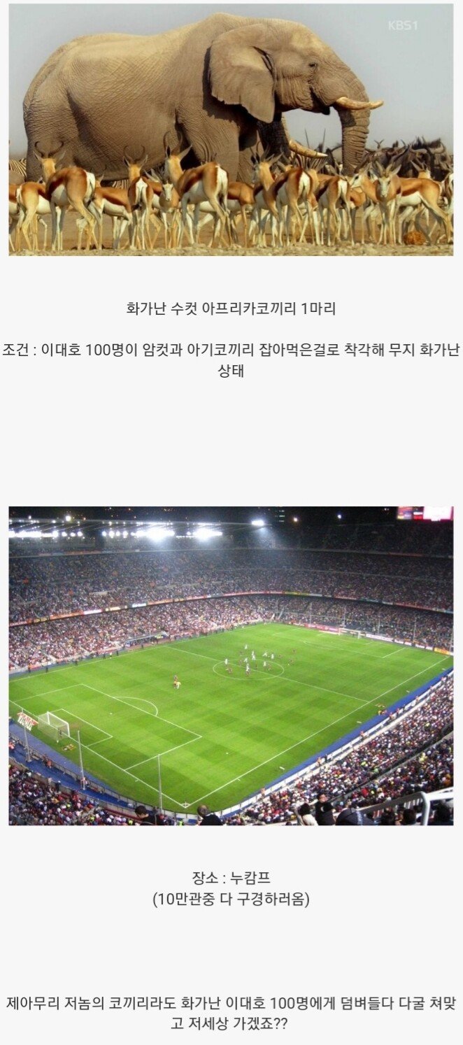 배트 든 이대호 100명 vs 수컷 성체 아프리카 코끼리 1마리.jpg | 인스티즈