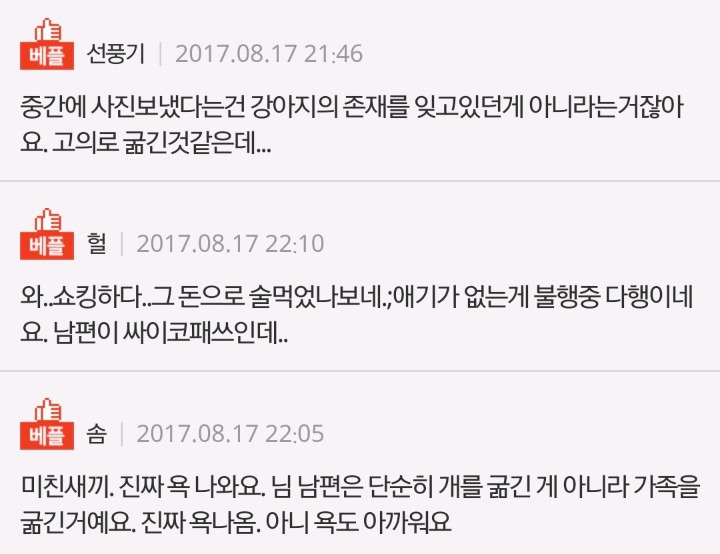 유산해서 산후조리원갔다온 7일간 강아지밥을 안먹였어요 추가 | 인스티즈