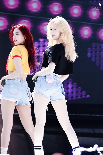 소나무 의진.jpg | 인스티즈