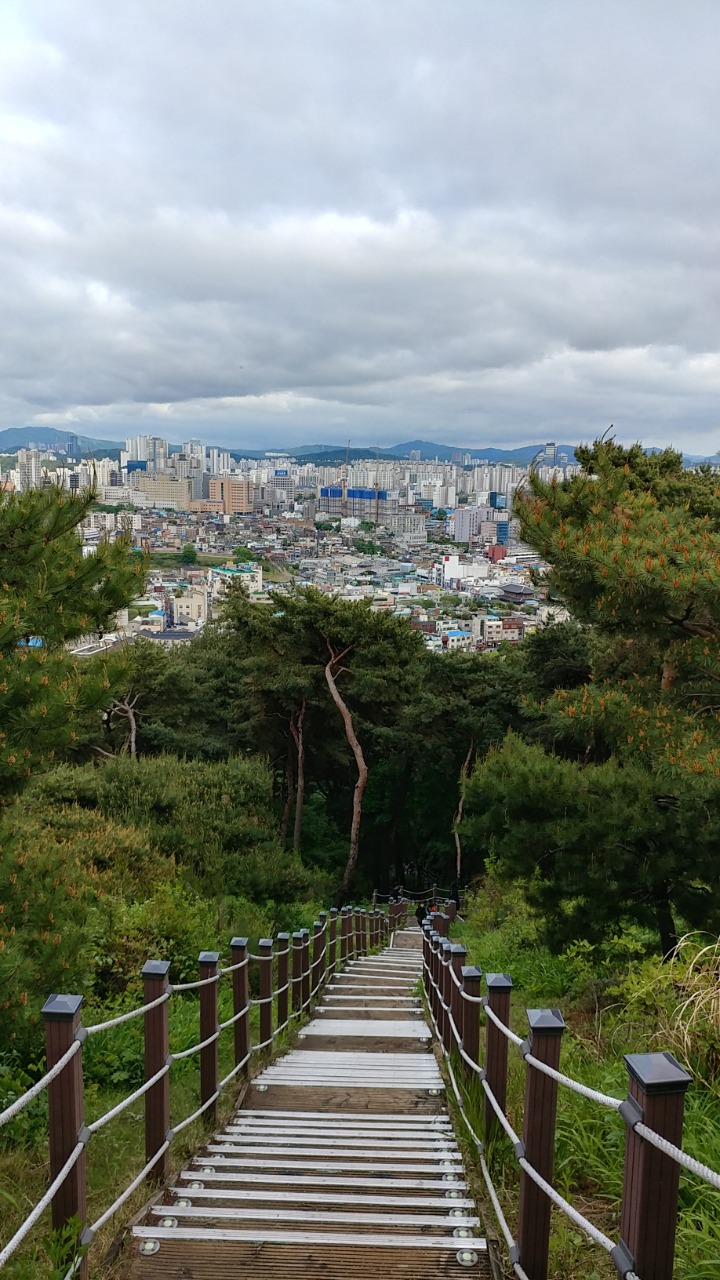 최종민 이미지