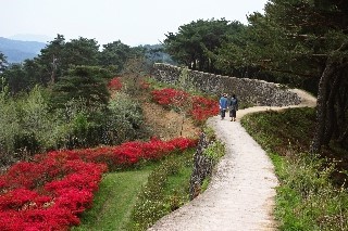 좋은날오후 이미지