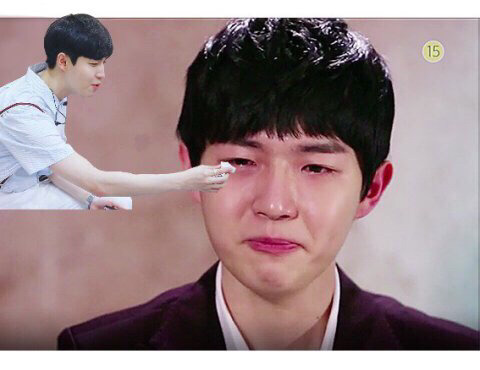 와요 이미지