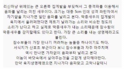 보기보다 훨씬 더 위험한 생물들 (혐오주의) | 인스티즈