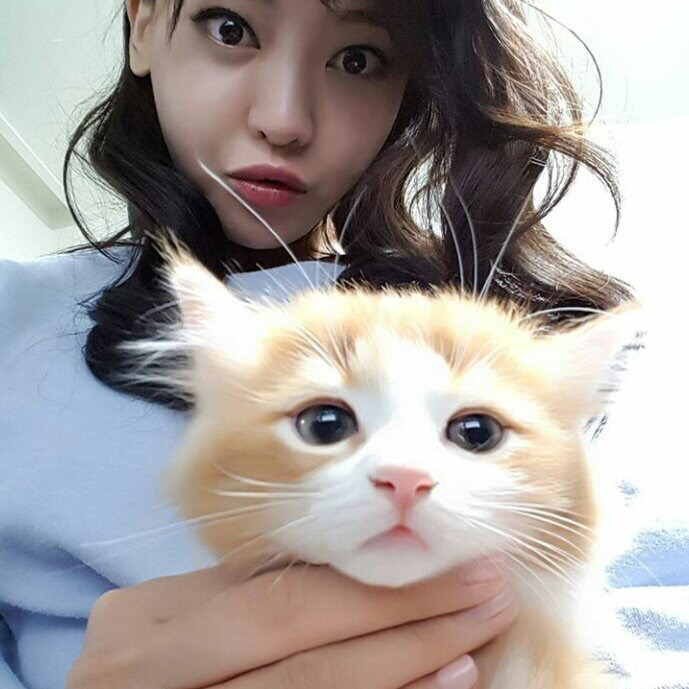 인터넷에서 너무나도 유명한 이 고양이의 정체는... | 인스티즈