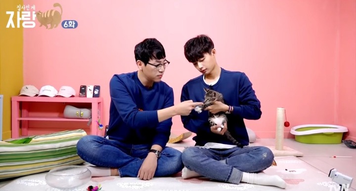 고양이랑 인사하는 법.jpg | 인스티즈