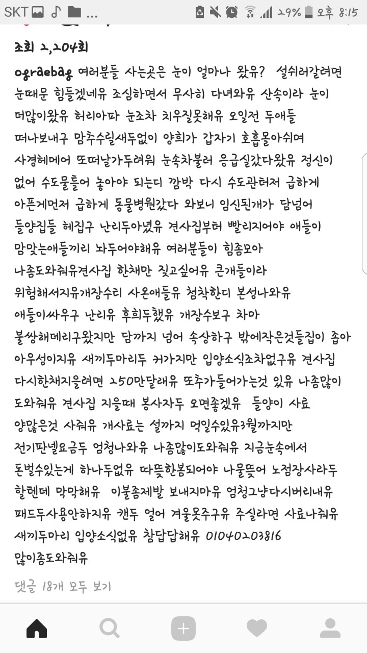 설 편하게 보내려고 박옥래할머니에게 강아지버리고 갔음 (다들한번만봐주라 인기글가게 도와줘) | 인스티즈
