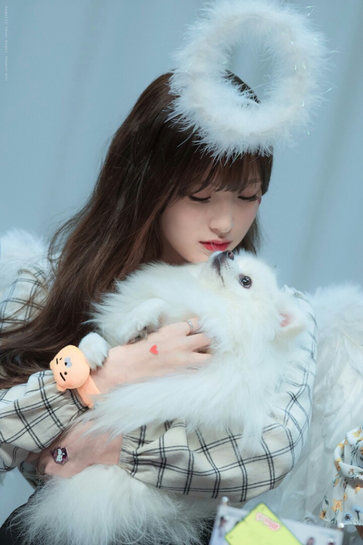 오마이걸 아린이 키우는 강아지 '아리' | 인스티즈