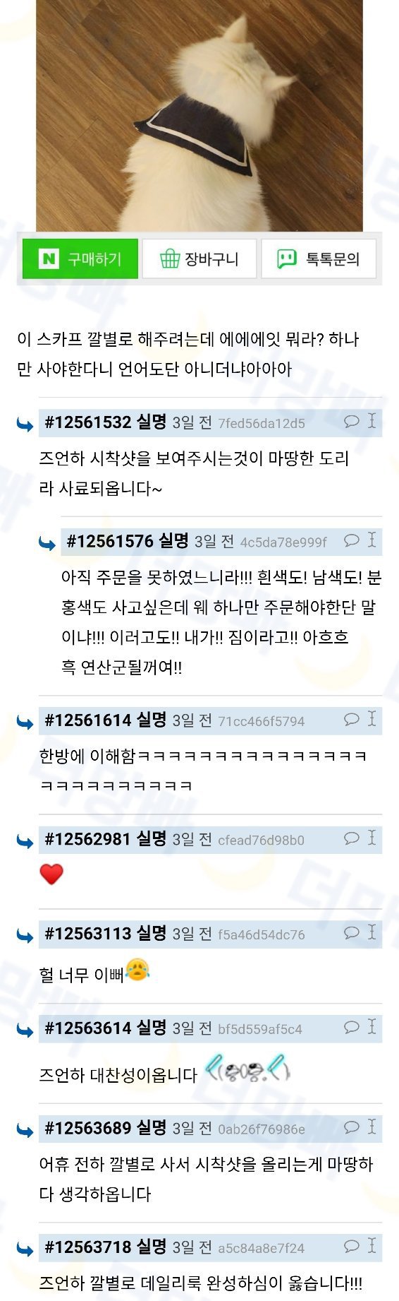  애첩의 농간질에 놀아나서 사치하는 왕 이해 안됐는데 냥이를 길러보니까... | 인스티즈