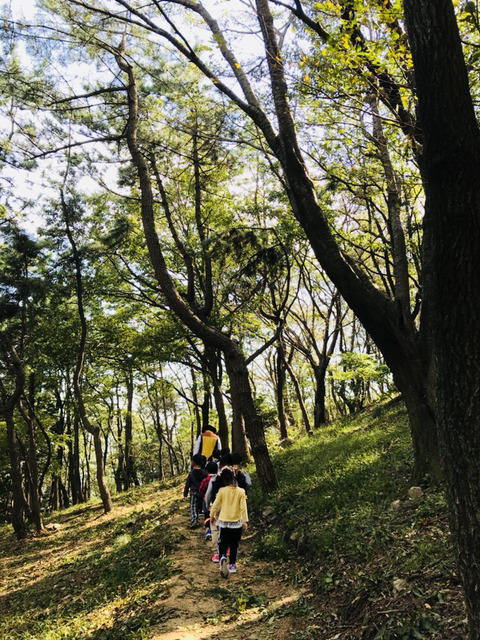 구덕산 유아숲체험원 이미지