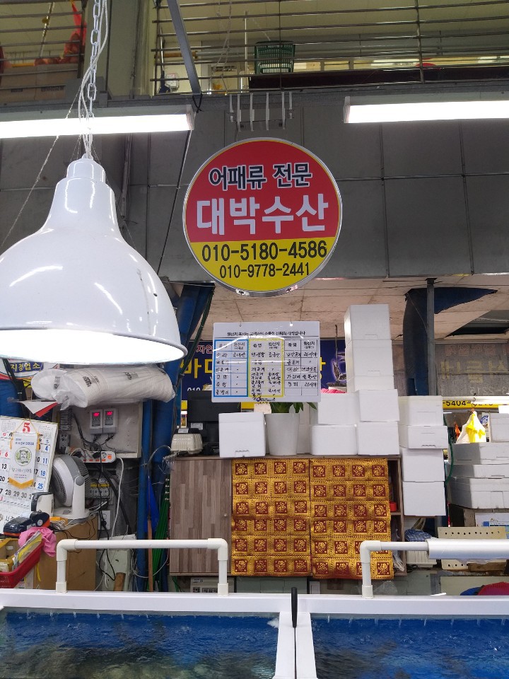 대박어패류 이미지