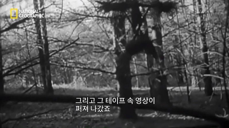 1999년, 새로운 장르의 공포영화가 인터넷을 통해 홍보되다 | 인스티즈