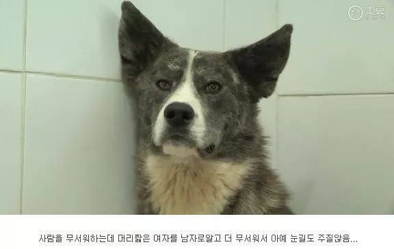 는 남자가 시러 ㅜㅅ° | 인스티즈