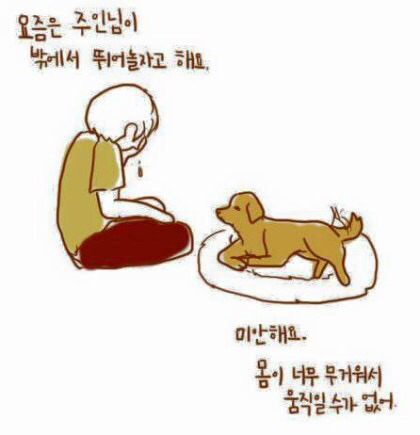 강아지의 마지막 | 인스티즈