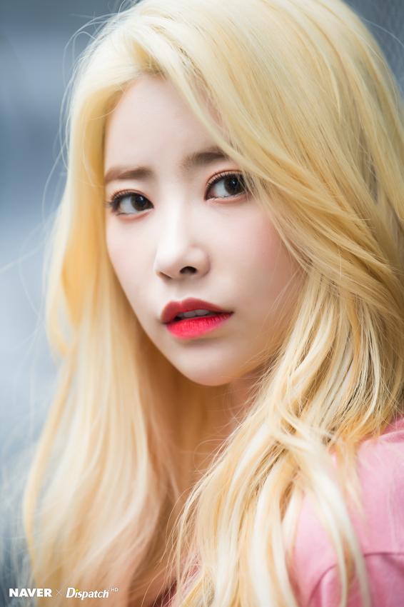 다이아 꽃길만 걷자!! | 인스티즈