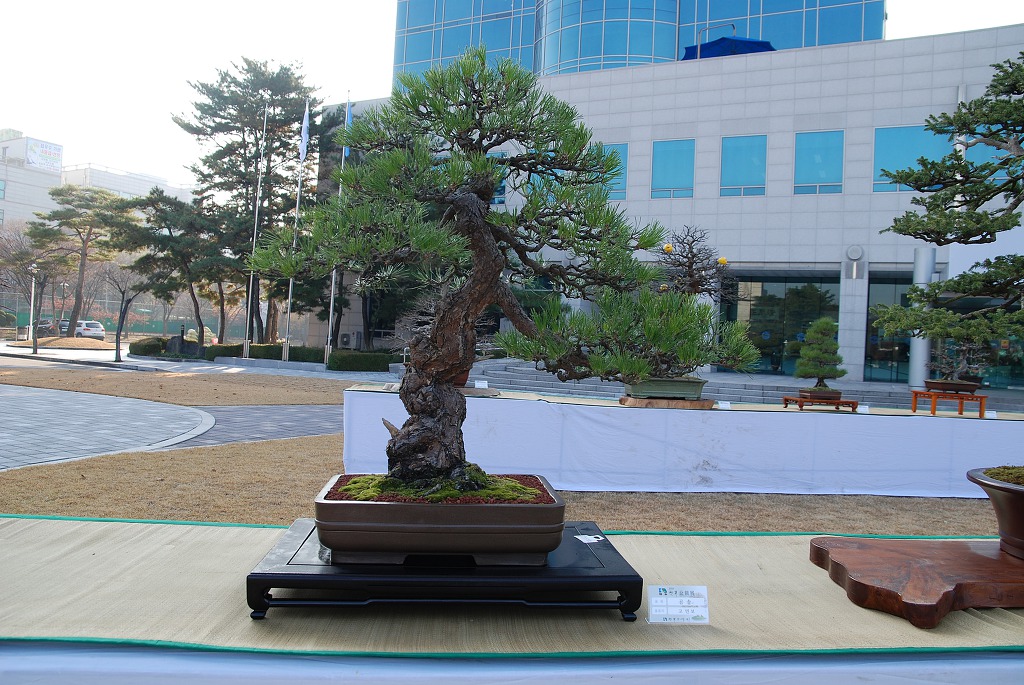 한목 이미지