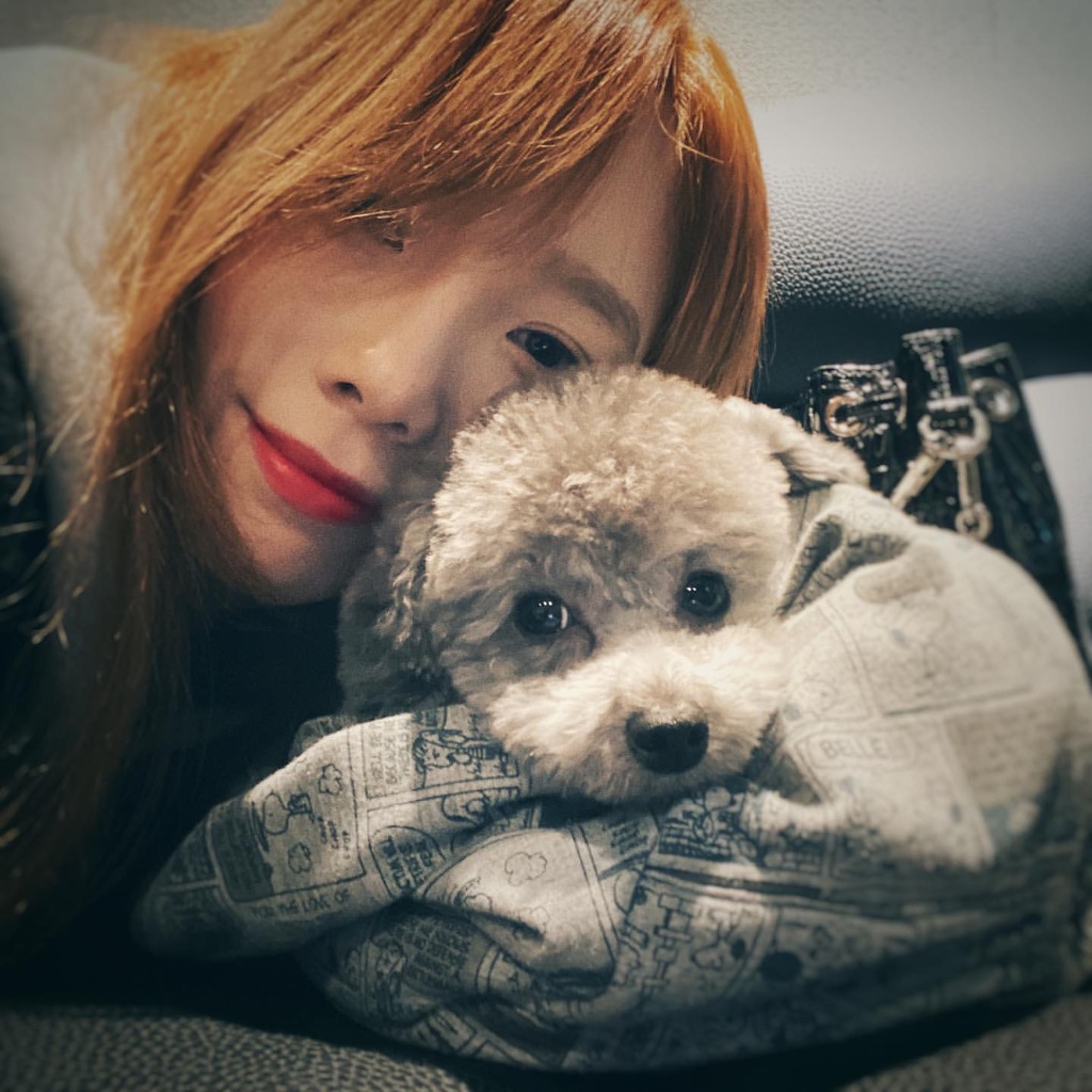 994BB6335E74DF770FF527