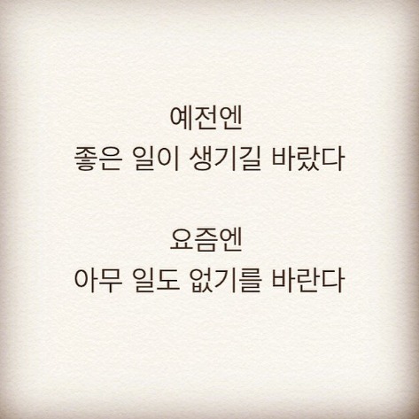 소블리 이미지