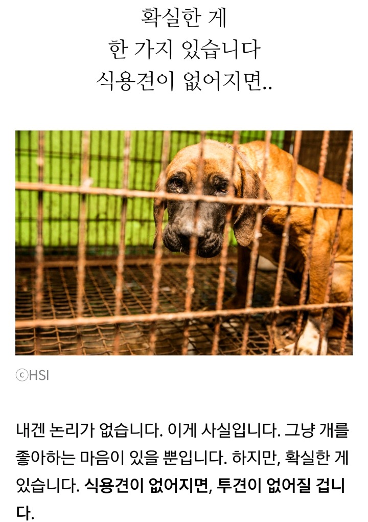 강형욱 "왜 개만 먹으면 안돼?"에 대해 | 인스티즈
