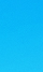 뚱냥이를 위해서 운동 기구를 사줬다.gif | 인스티즈