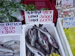 러시아의 수산시장.jpg | 인스티즈