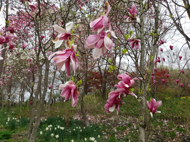 9955F54B5CBD0D7E16EE2B