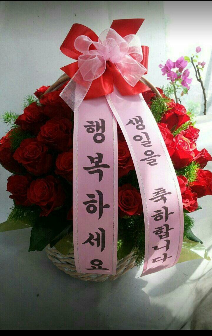 쎄느 이미지