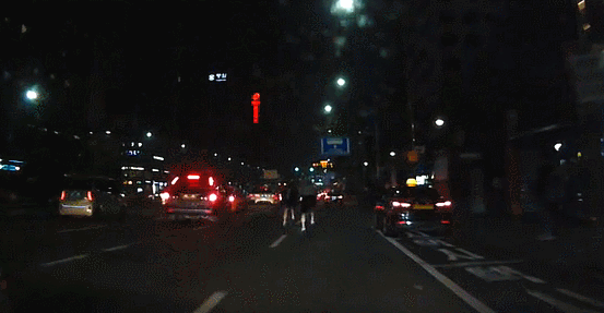 도로위 자라니.gif | 인스티즈