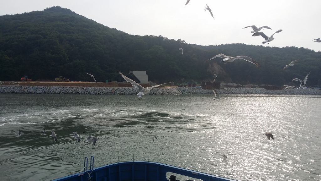 육해공 이미지