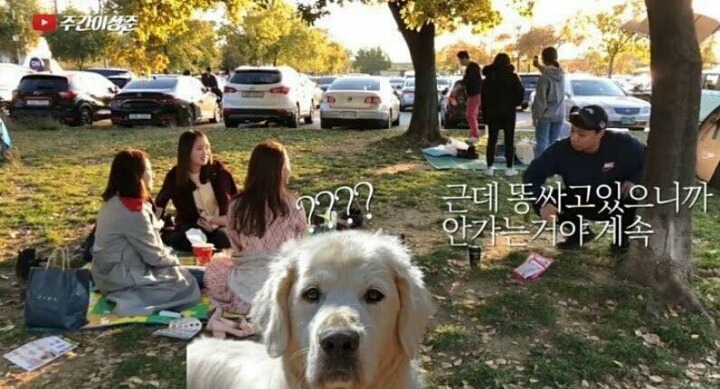 한강에서 똥을 쌌는데.... | 인스티즈