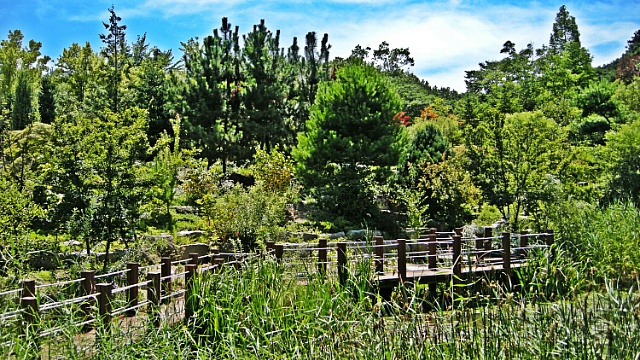 황학산수목원 이미지