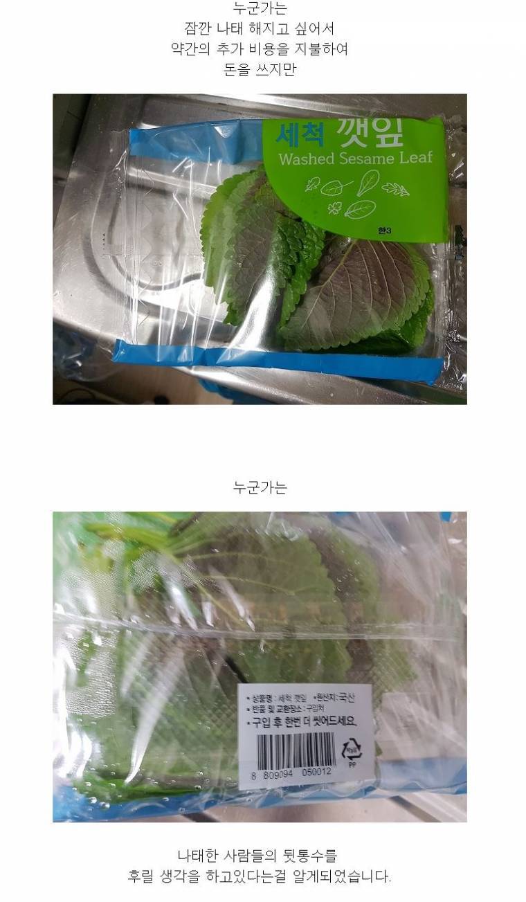 세척 깻잎 이야기 | 인스티즈