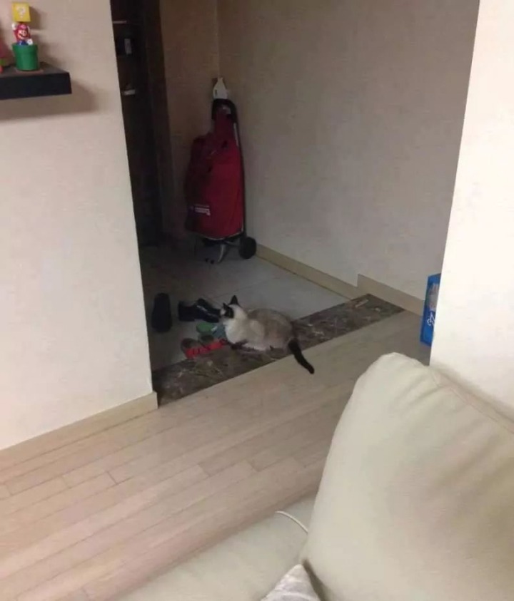 외출한 가족 집에 빨리 돌아오게 하는 방법.jpg | 인스티즈