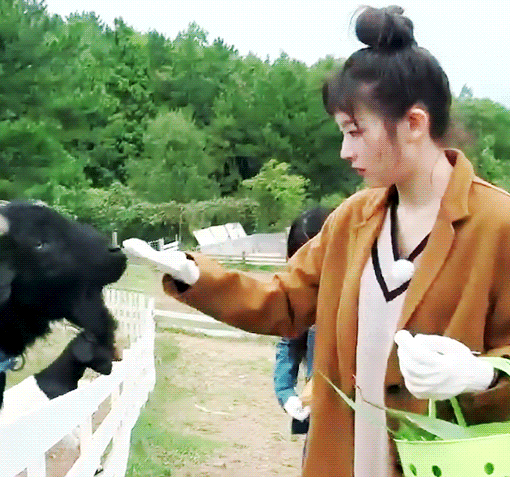 리얼리티에서 귀여운 슬기.gif | 인스티즈