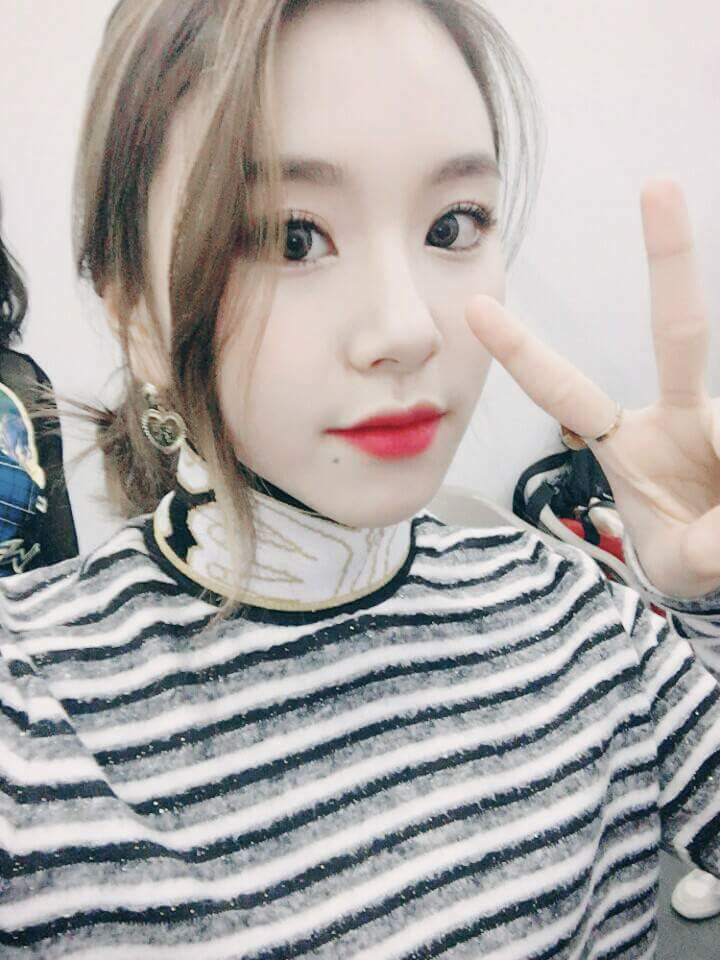 트와이스 아기맹수 손채영 | 인스티즈