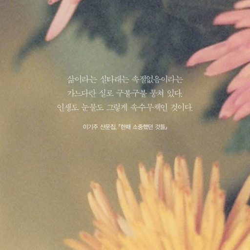 소리도서 이미지
