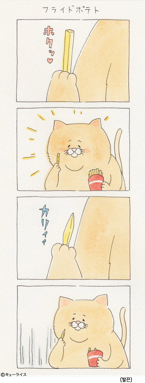 유감스러운 고양이 -2- | 인스티즈