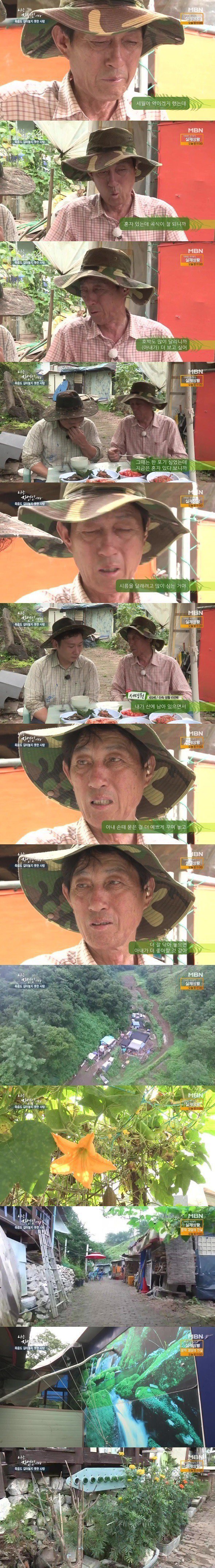 아내를 그리워하는 자연인 | 인스티즈