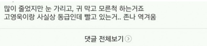 여초사이트 아이유 악플 수준..... | 인스티즈