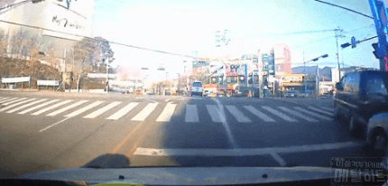 신호대기....레전드.gif | 인스티즈