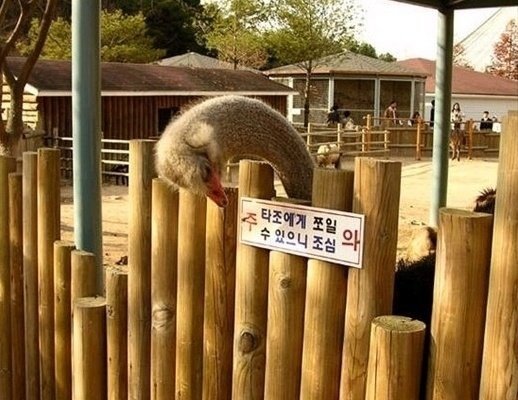 아니 도데체 뭐라고 써있길래 | 인스티즈