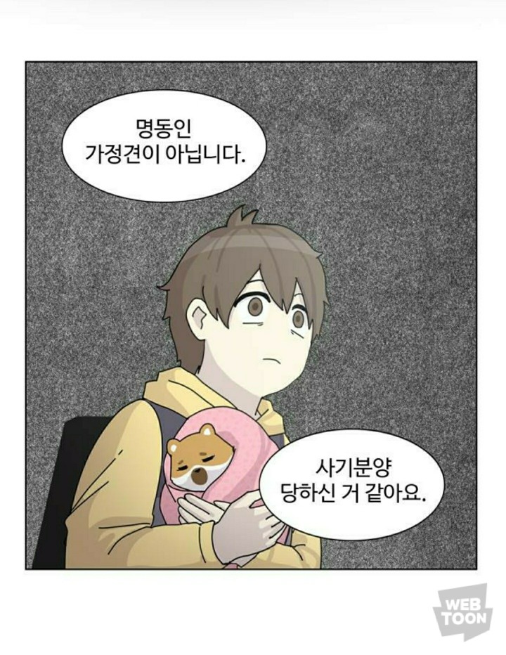 병든 강아지가 분양 후에 아파하는 이유 | 인스티즈