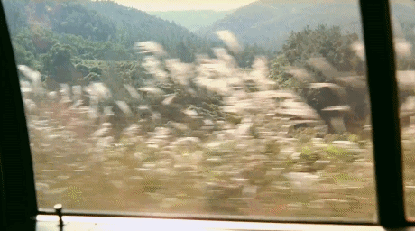 옛날 영화 감성.gif | 인스티즈