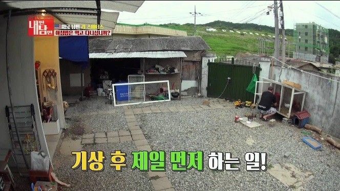 미국 남편 VS 한국 마누라 | 인스티즈