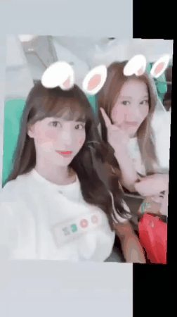트와이스 인스타그램 스토리 모모,사나, 지효 | 인스티즈