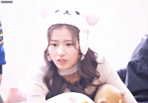 팬들 걱정하는 사나.jpgif | 인스티즈
