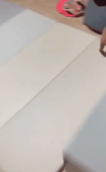 고양이의 체력.gif | 인스티즈