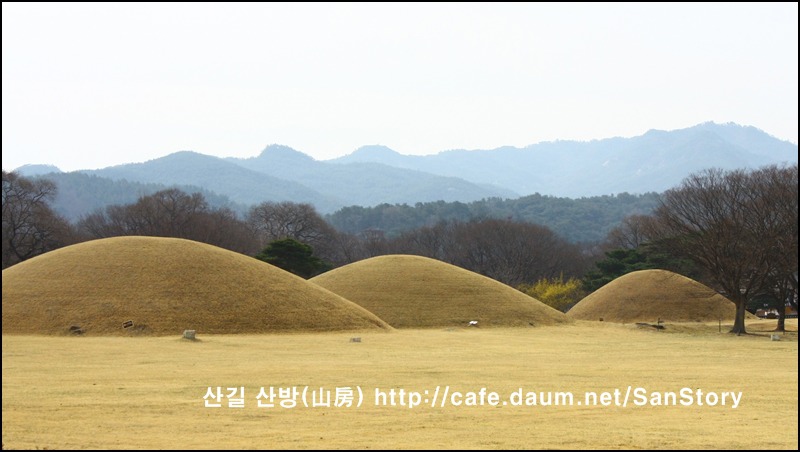 남산꽃화원 이미지